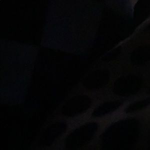 Meet your Posher, Dylon